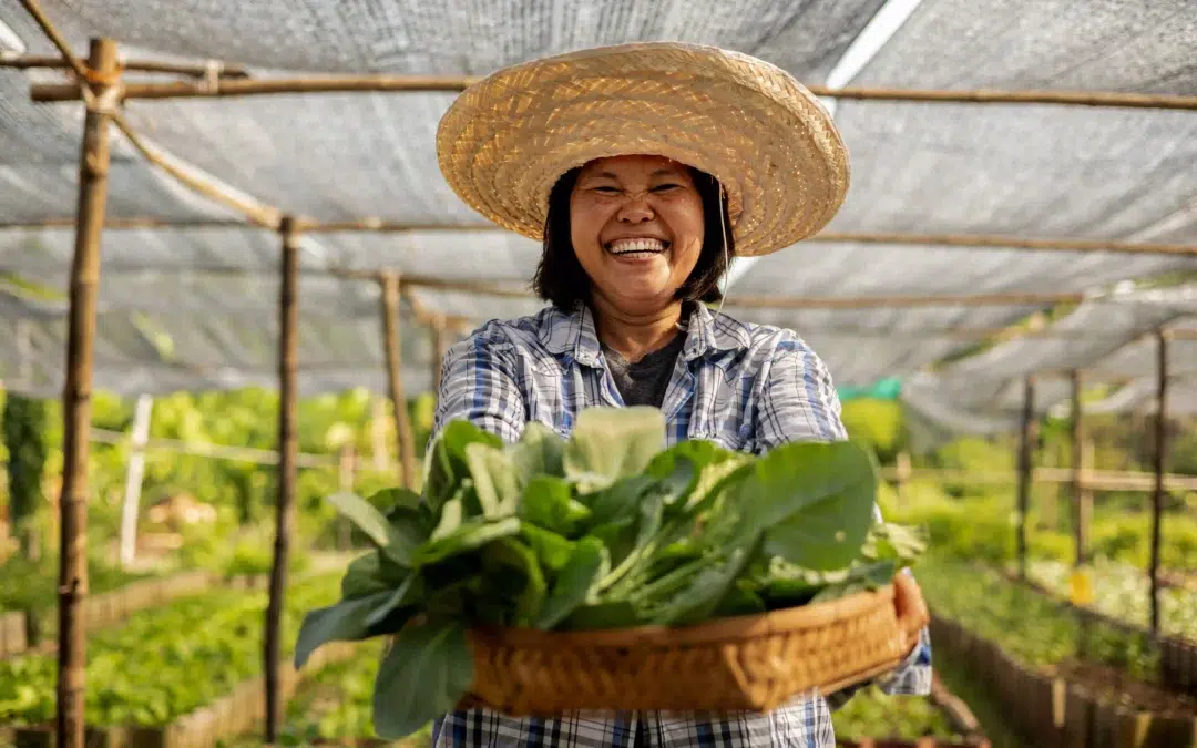 A Thai farmer harvesting fresh vegetables, supporting Green & Sunny